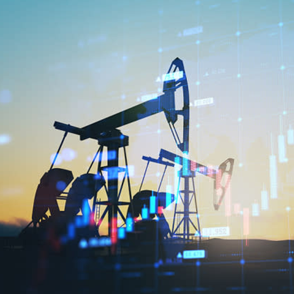 Petroleum market intelligence and consultancy services